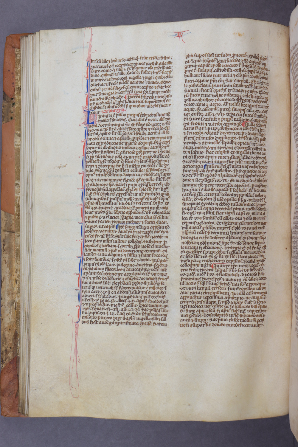 Folio 48 verso